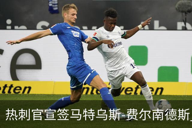 热刺官宣签马特乌斯-费尔南德斯 转会费8500万镑破纪录