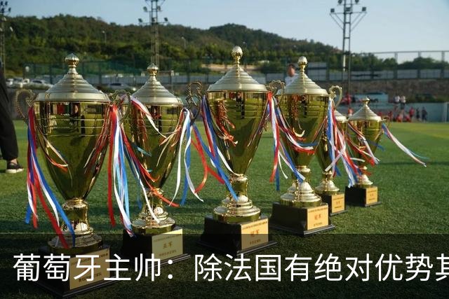 葡萄牙主帅：除法国有绝对优势其他都在毫厘之间 我们不是大热门